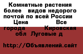 Комнатные растения более200видов недорого почтой по всей России › Цена ­ 100-500 - Все города  »    . Кировская обл.,Луговые д.